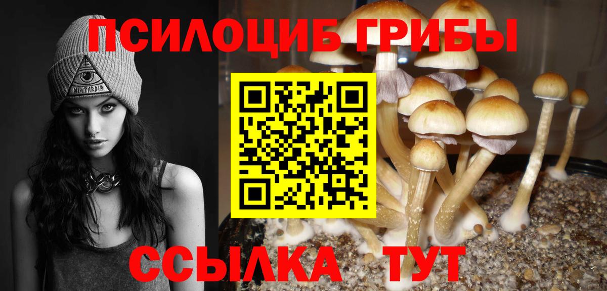 Псилоцибиновые грибы мицелий Карталы