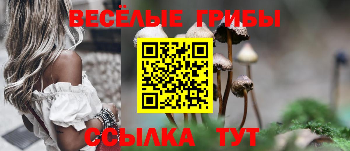 Карталы  Галлюциногенные грибы ЛСД  Вход с VPN  Псилоцибиновые грибы Cubensis 